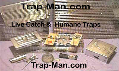 http://www.browfarmwheat.freeuk.com/trap_man_files/traps.jpeg